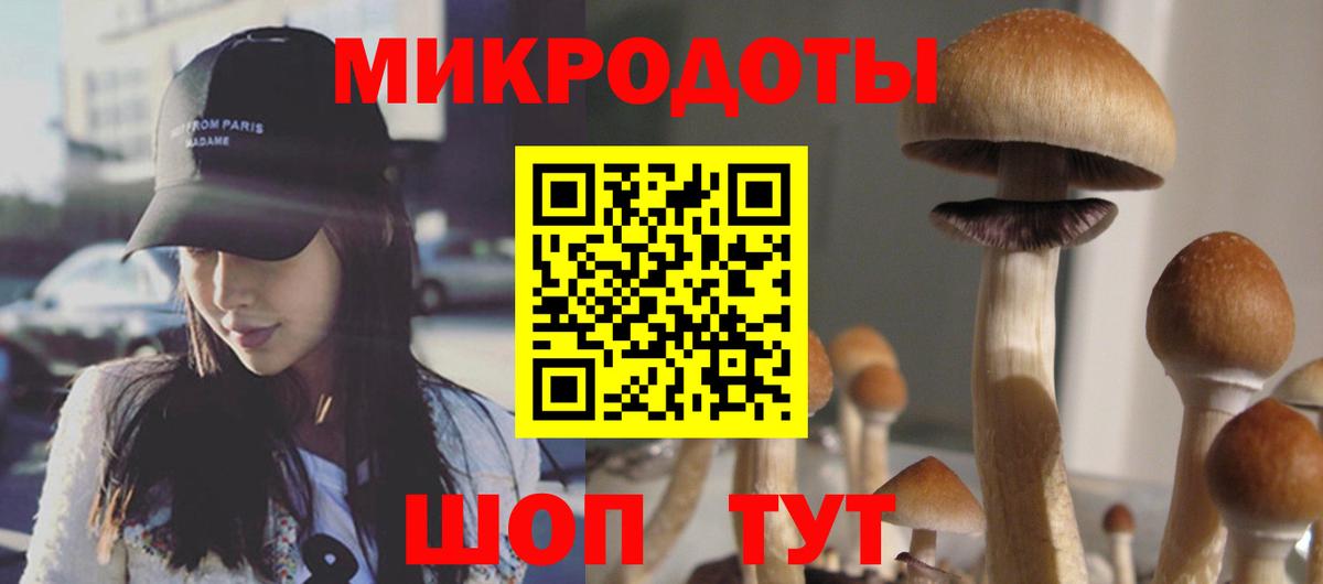 Великие Луки  Псилоцибиновые грибы Cubensis  Псилоцибиновые грибы GOLDEN TEACHER  Вход с VPN 